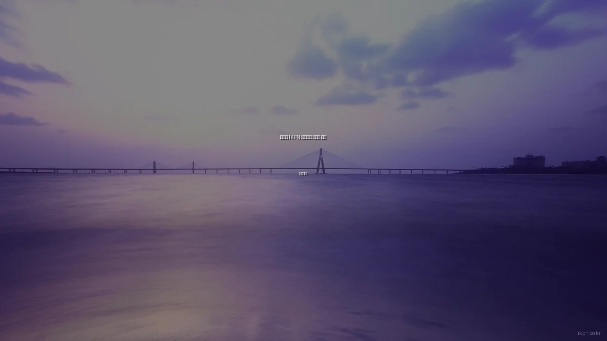 예산별 IKPN 네트워크 최적화 방법 총정리