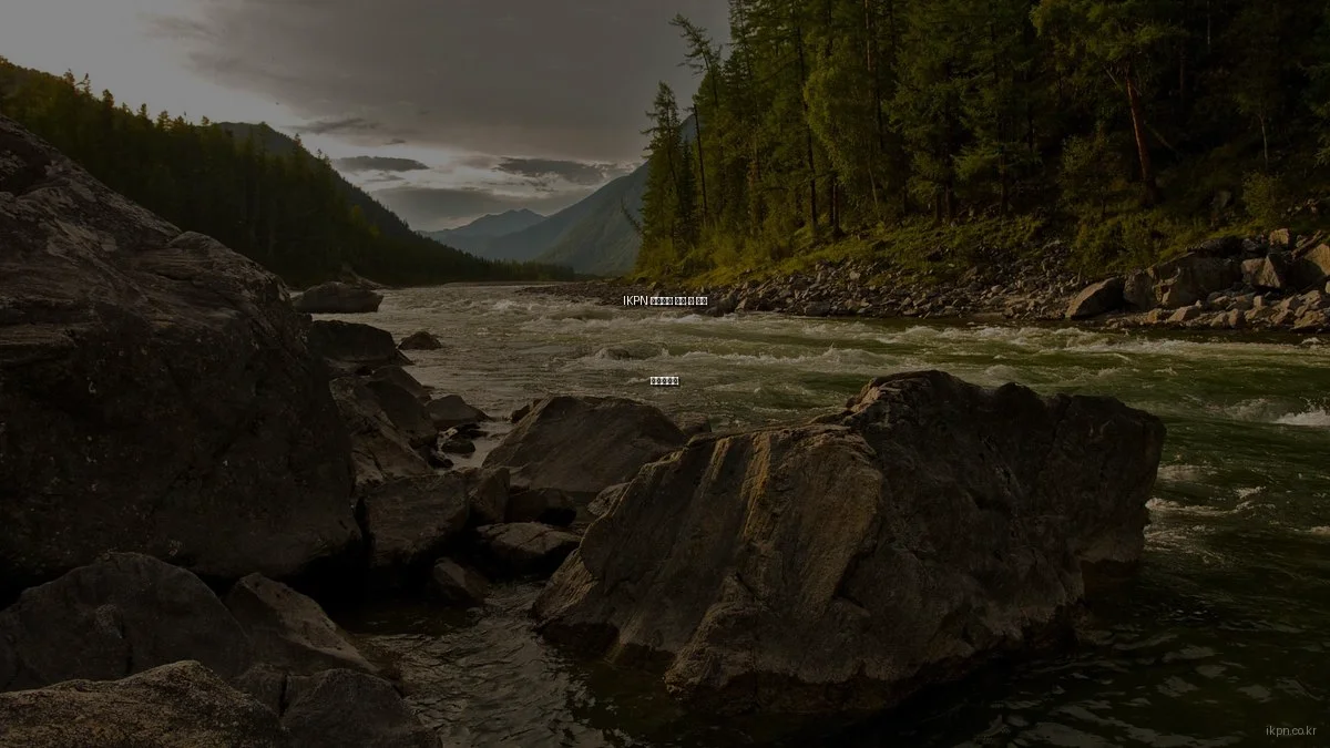 IKPN 네트워크 구매 전 필수 체크리스트