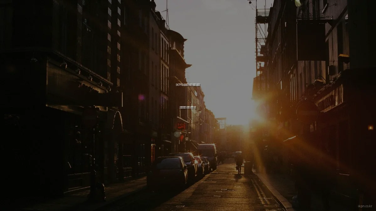 IKPN 플랫폼 실제 사용 후기: 비즈니스 성과 향상 팁