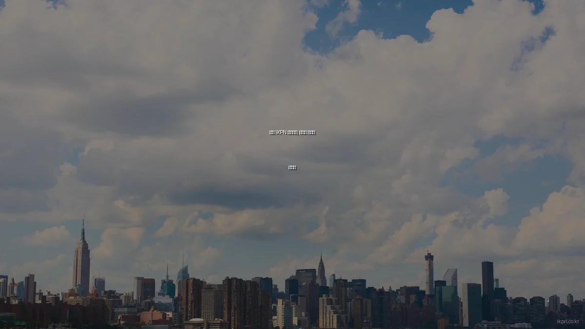 봄철 IKPN 네트워크, 효과적 활용법 총정리