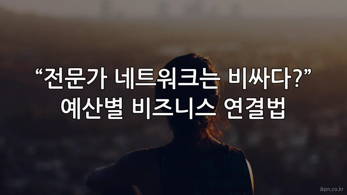 “전문가 네트워크는 비싸다?” 예산별 비즈니스 연결법