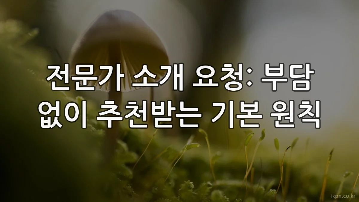 전문가 소개 요청: 부담 없이 추천받는 기본 원칙