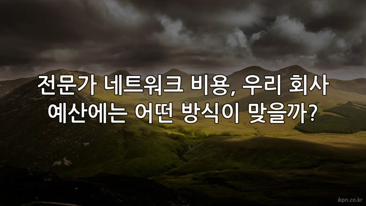 전문가 네트워크 비용, 우리 회사 예산에는 어떤 방식이 맞을까?
