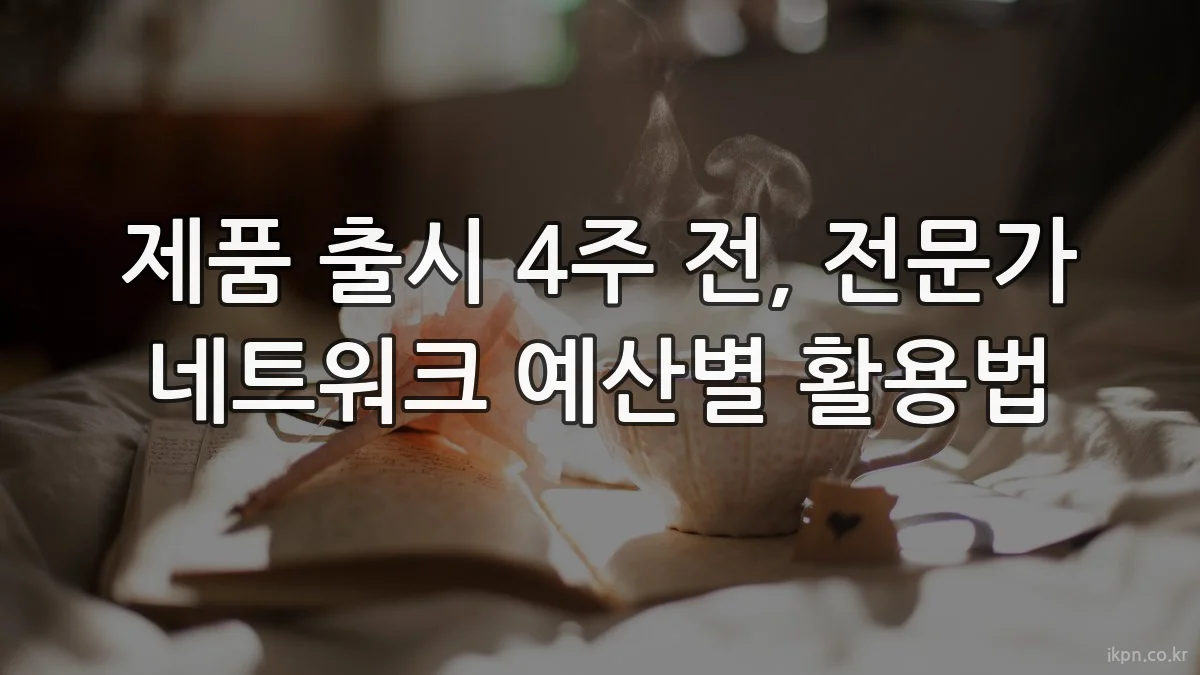 제품 출시 4주 전, 전문가 네트워크 예산별 활용법