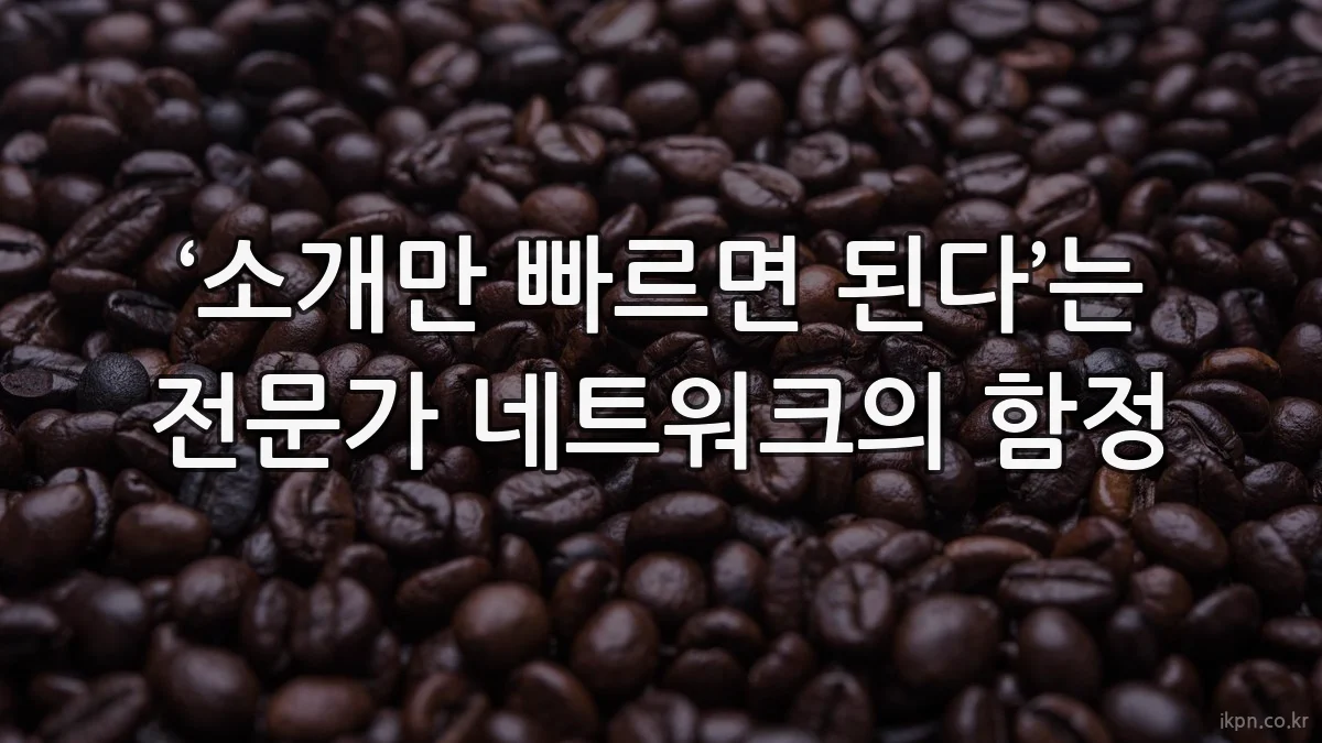 ‘소개만 빠르면 된다’는 전문가 네트워크의 함정