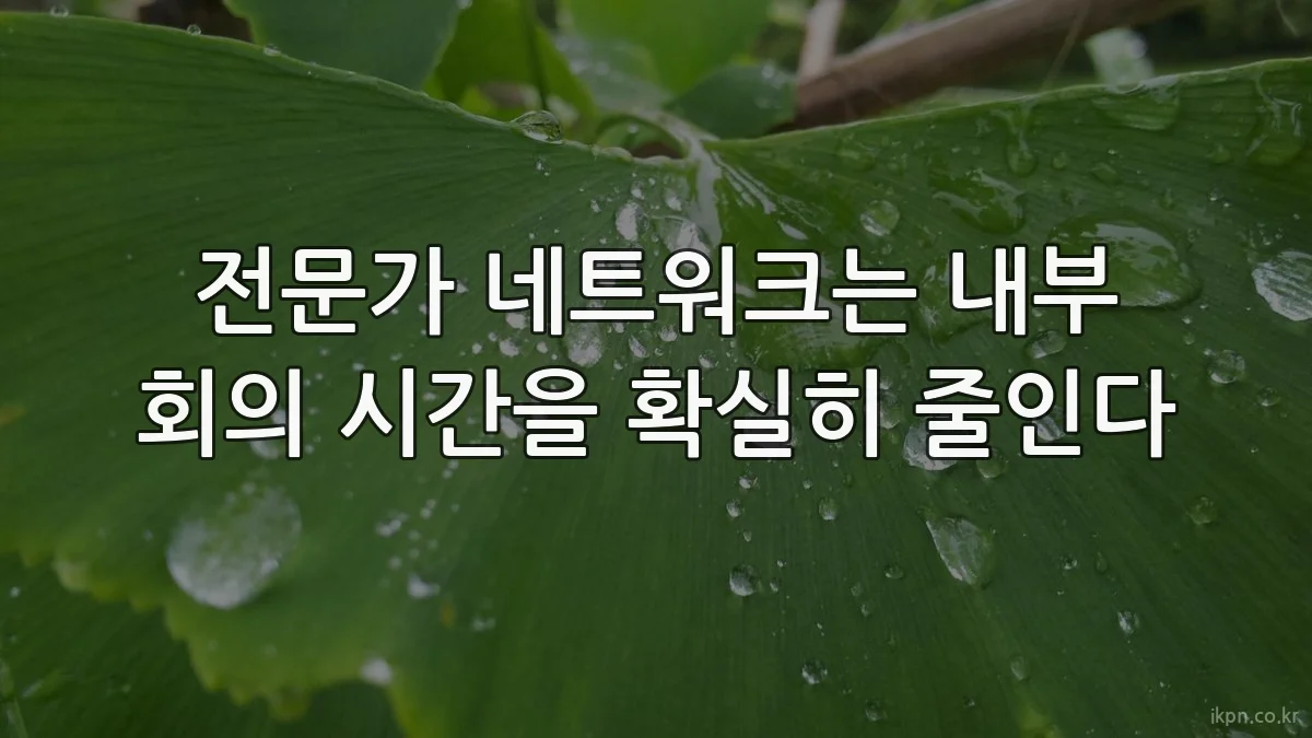 전문가 네트워크는 내부 회의 시간을 확실히 줄인다