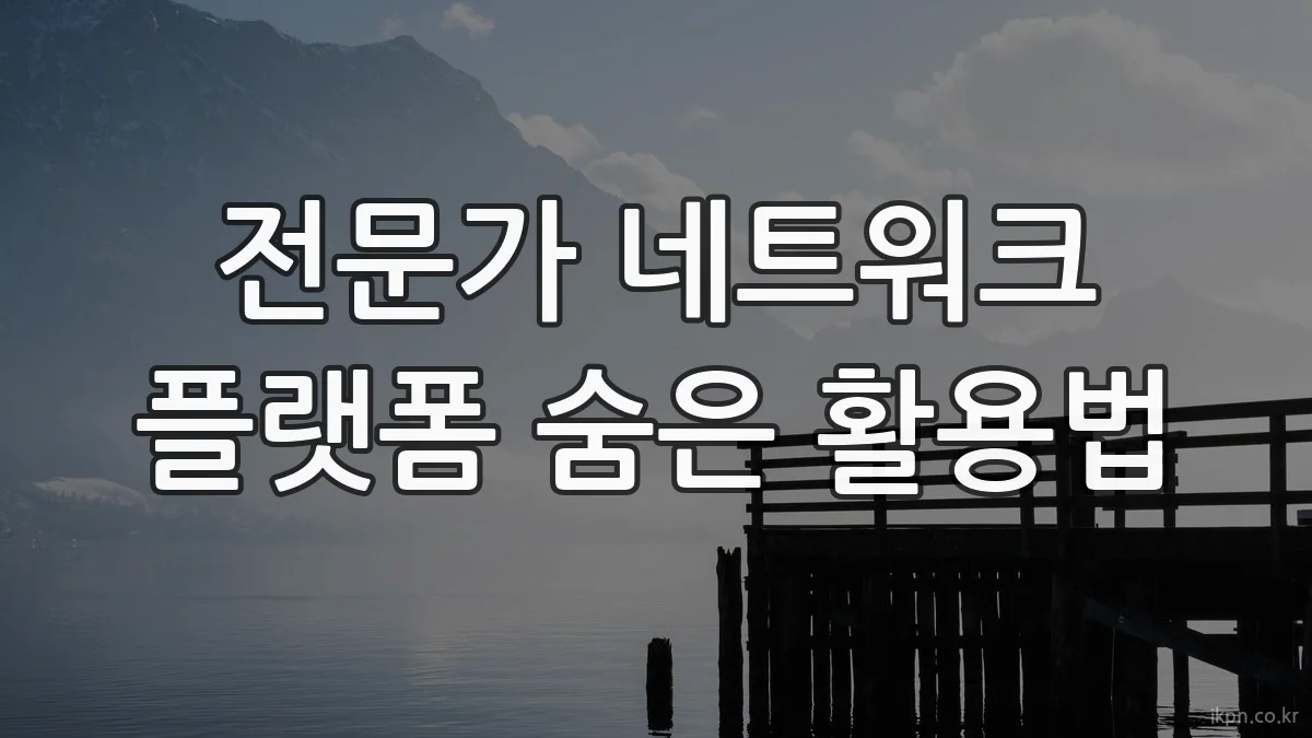 전문가 네트워크 플랫폼 숨은 활용법