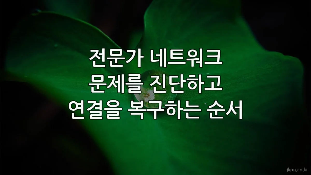 전문가 네트워크 문제를 진단하고 연결을 복구하는 순서