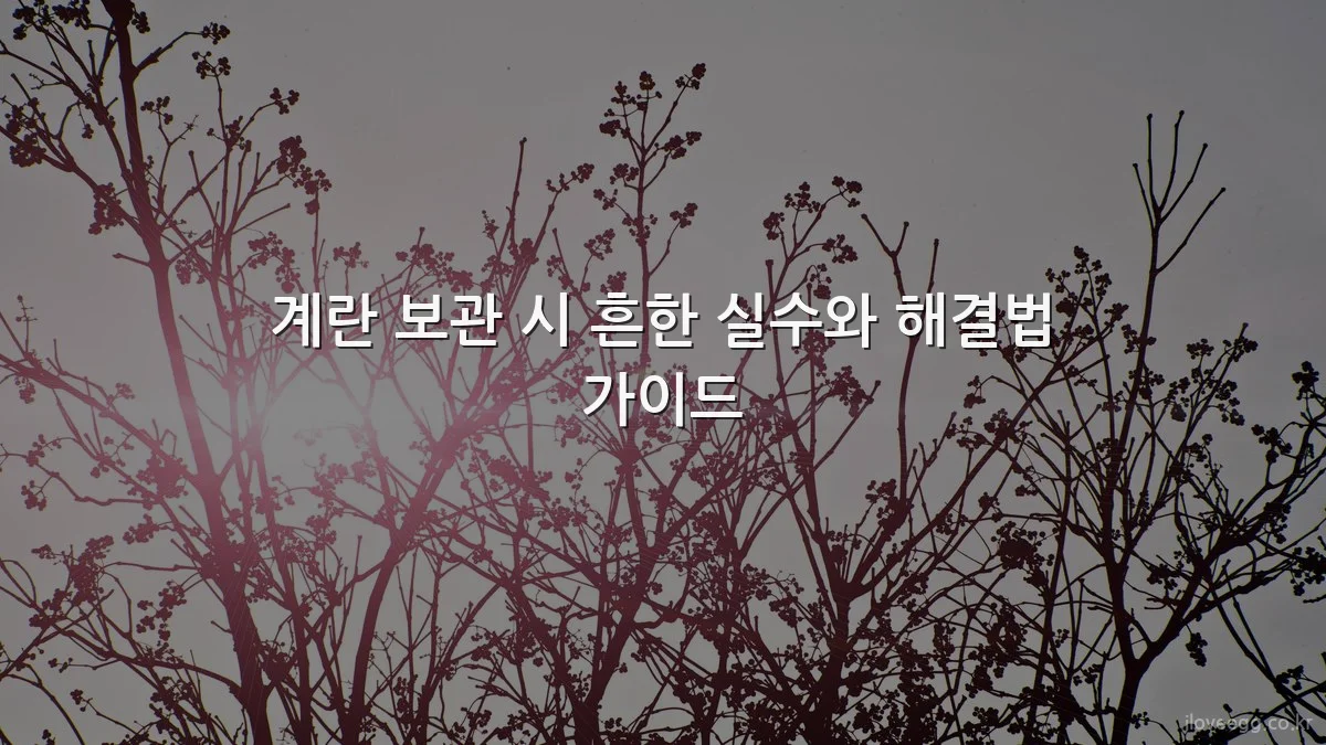 계란 보관 시 흔한 실수와 해결법 가이드