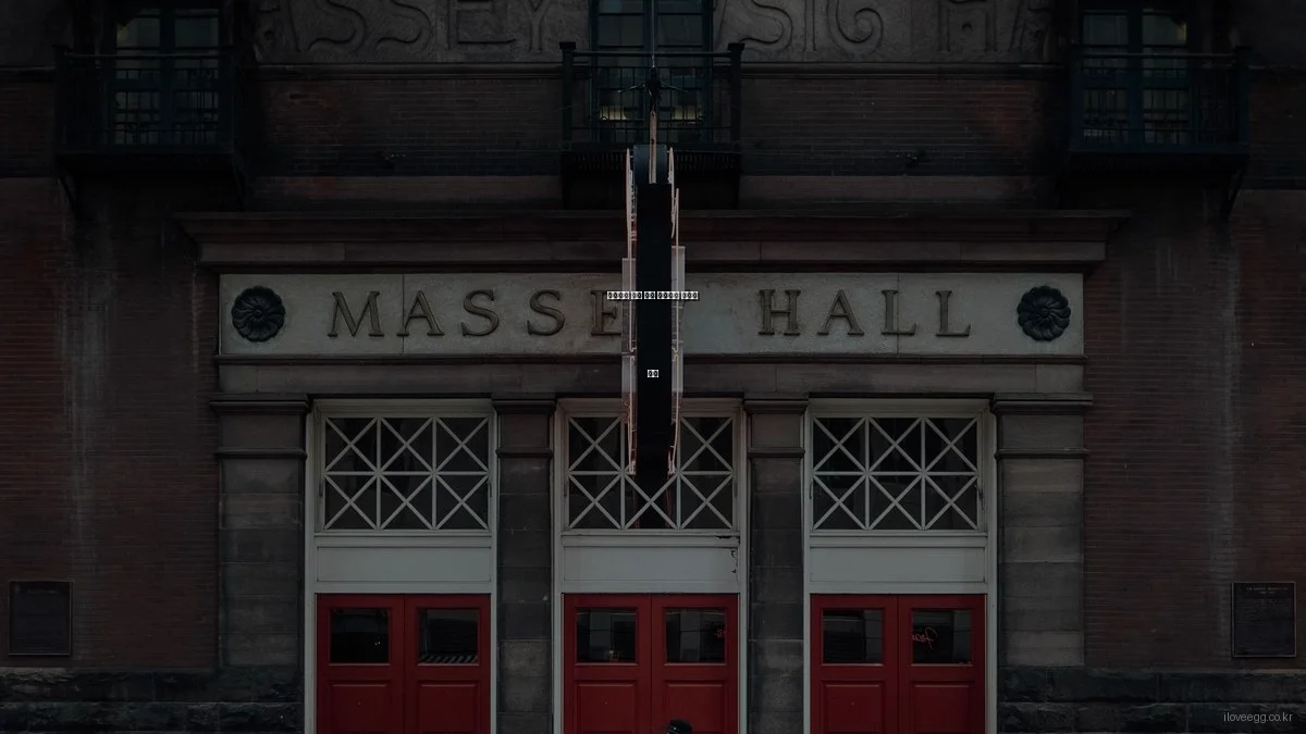 셰프처럼 달걀 요리 완성하는 비법과 후기