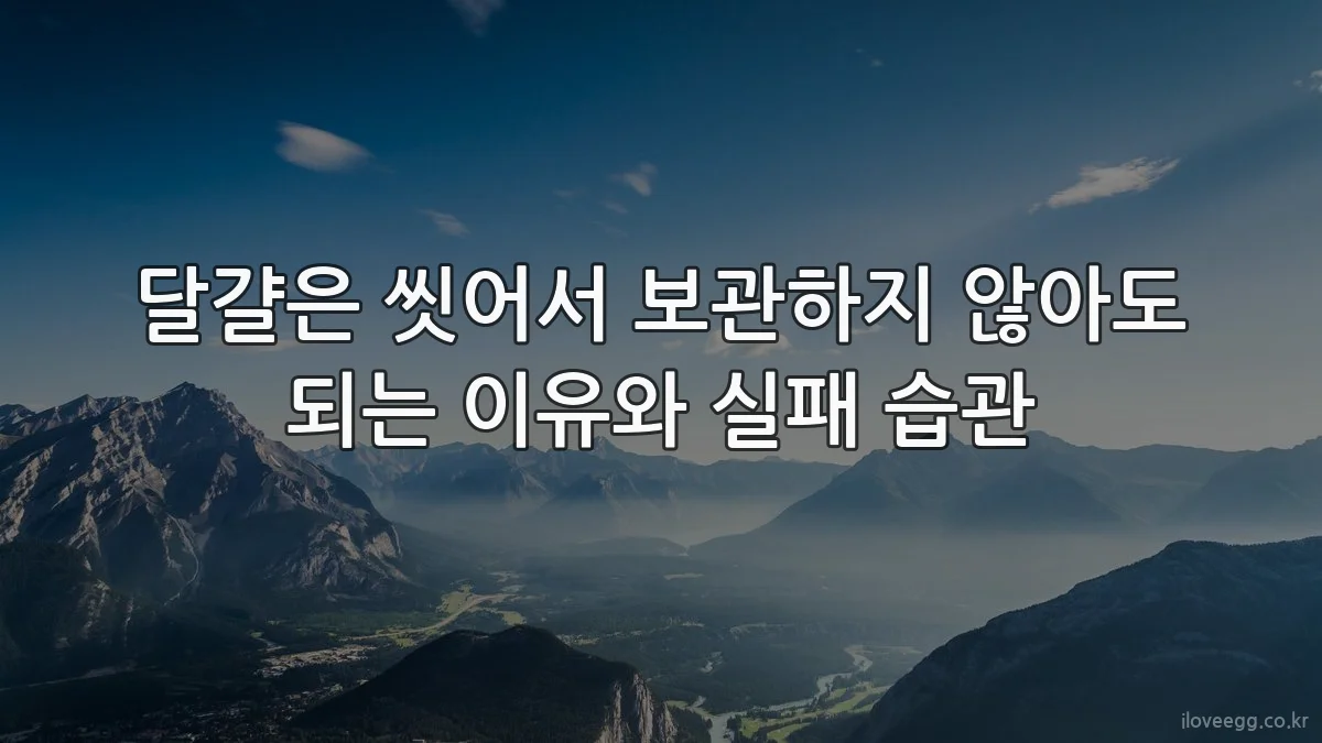 달걀은 씻어서 보관하지 않아도 되는 이유와 실패 습관
