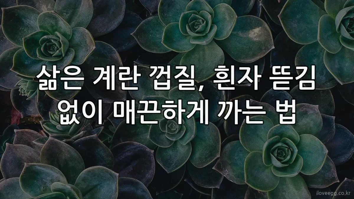 삶은 계란 껍질, 흰자 뜯김 없이 매끈하게 까는 법