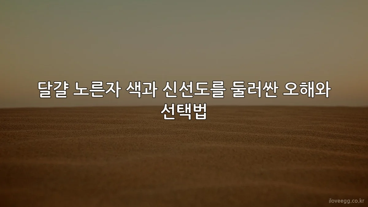 달걀 노른자 색과 신선도를 둘러싼 오해와 선택법
