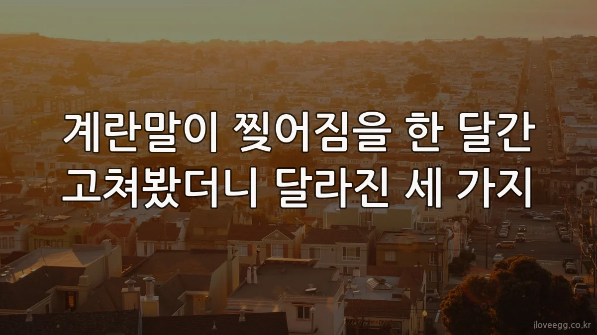 계란말이 찢어짐을 한 달간 고쳐봤더니 달라진 세 가지