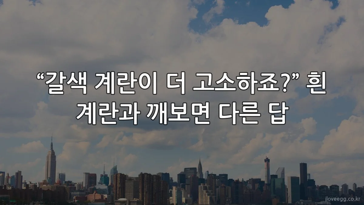 “갈색 계란이 더 고소하죠?” 흰 계란과 깨보면 다른 답