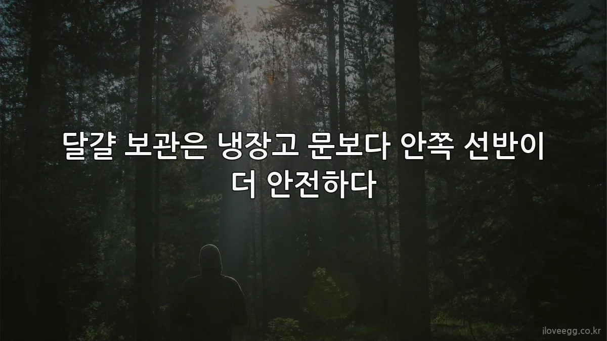 달걀 보관은 냉장고 문보다 안쪽 선반이 더 안전하다