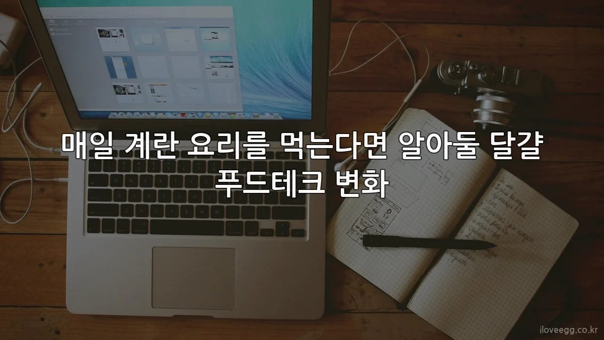 매일 계란 요리를 먹는다면 알아둘 달걀 푸드테크 변화