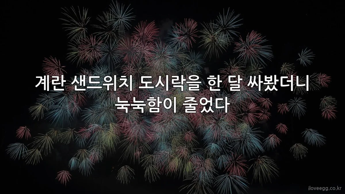 계란 샌드위치 도시락을 한 달 싸봤더니 눅눅함이 줄었다