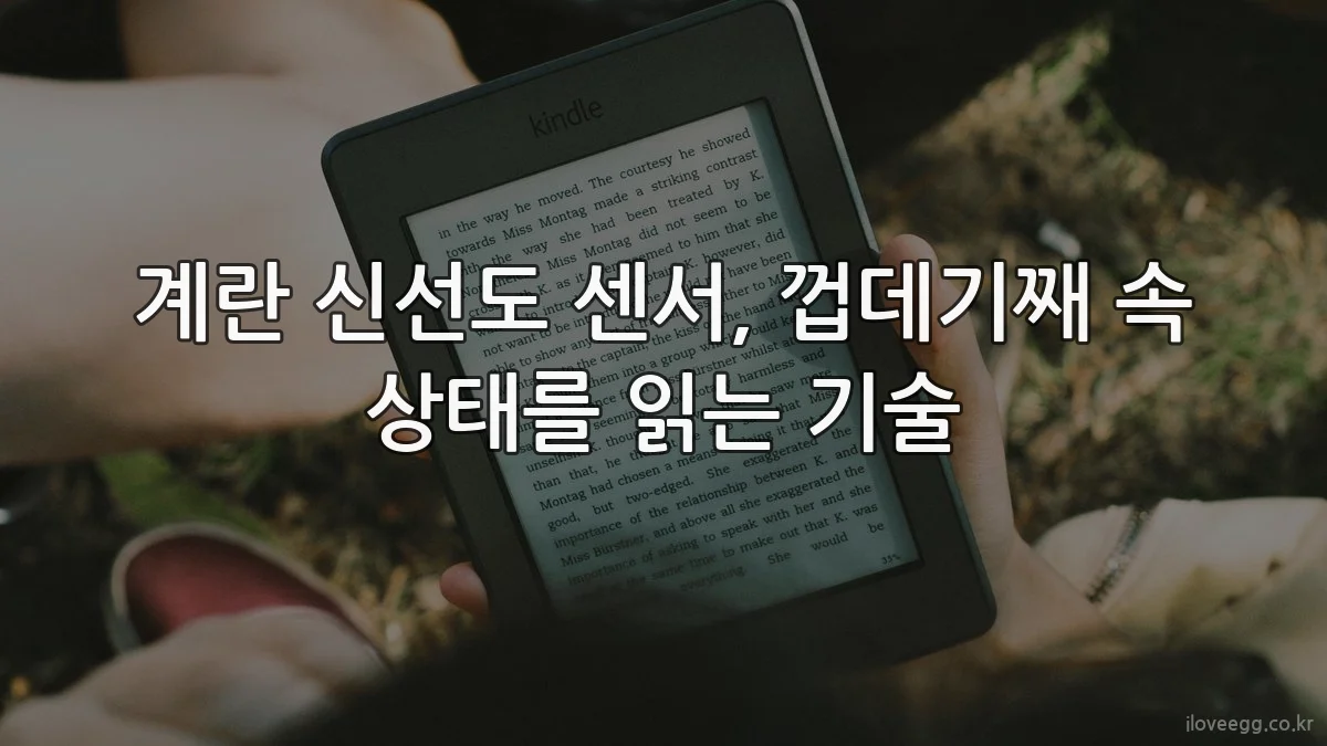 계란 신선도 센서, 껍데기째 속 상태를 읽는 기술