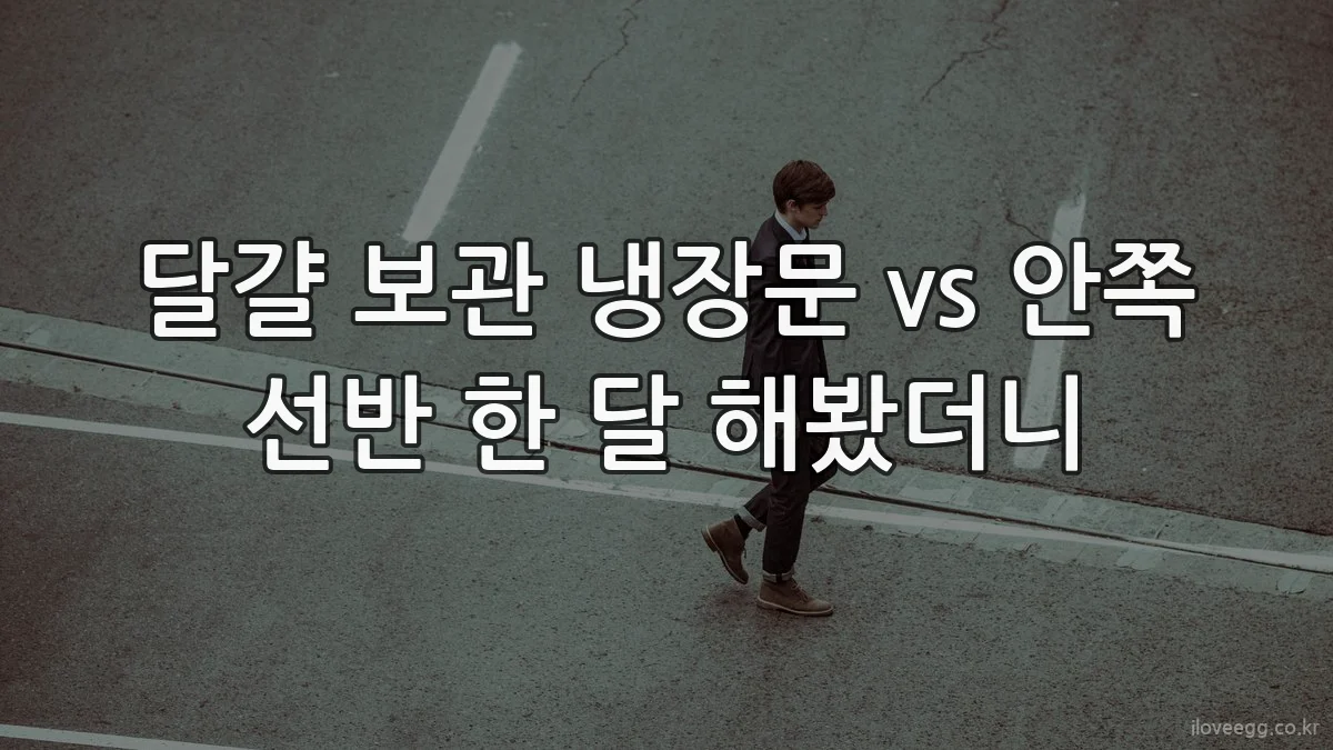 달걀 보관 냉장문 vs 안쪽 선반 한 달 해봤더니