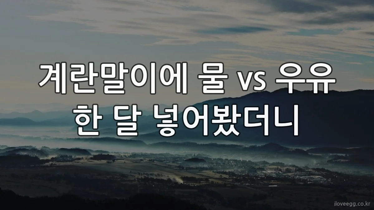 계란말이에 물 vs 우유 한 달 넣어봤더니