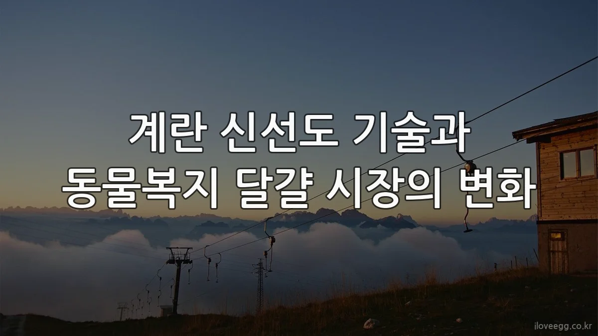 계란 신선도 기술과 동물복지 달걀 시장의 변화