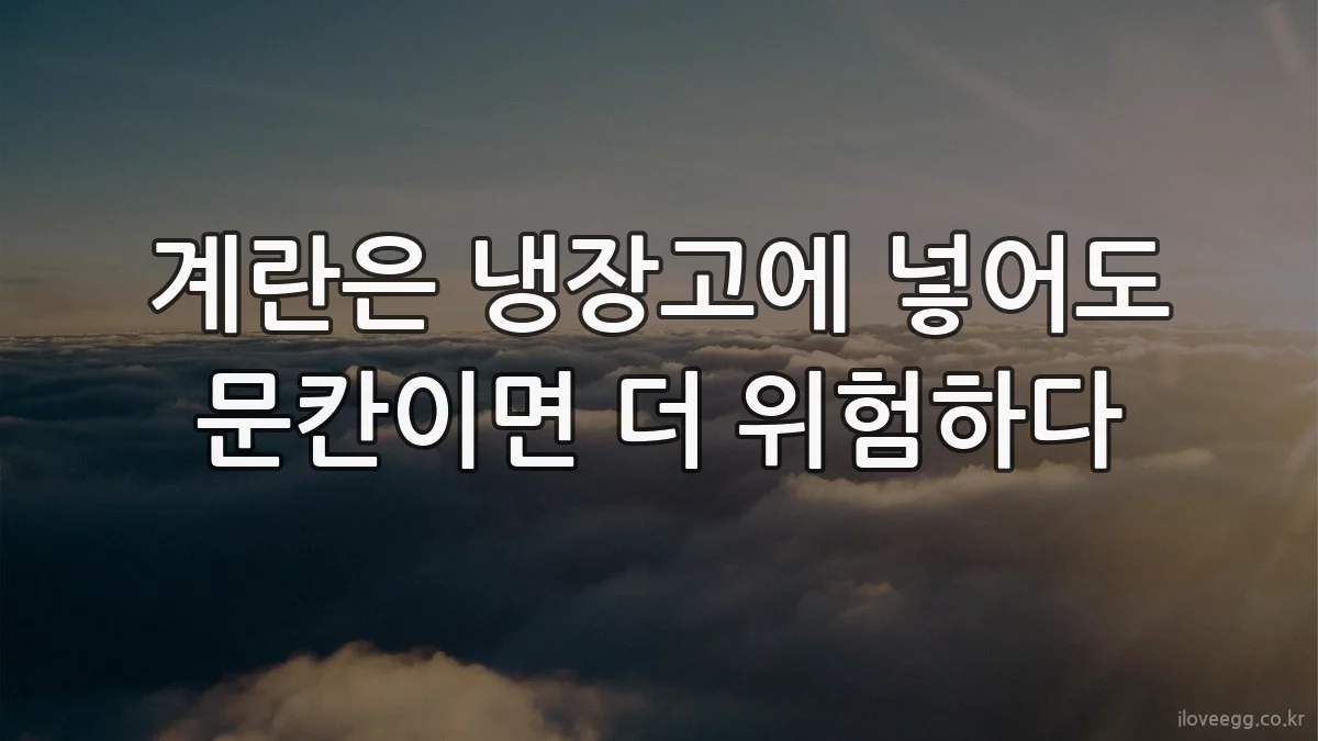 계란은 냉장고에 넣어도 문칸이면 더 위험하다