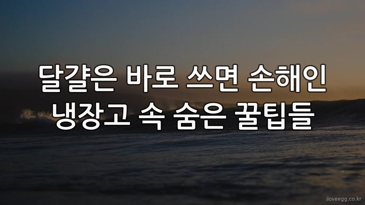 달걀은 바로 쓰면 손해인 냉장고 속 숨은 꿀팁들