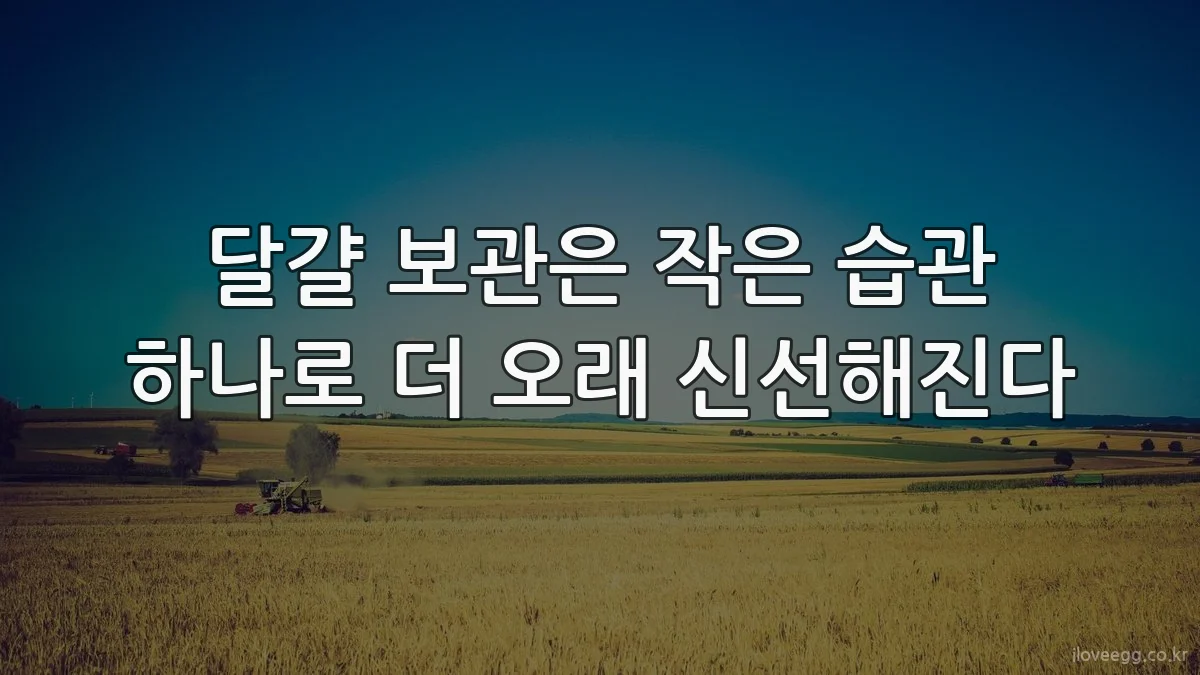 달걀 보관은 작은 습관 하나로 더 오래 신선해진다