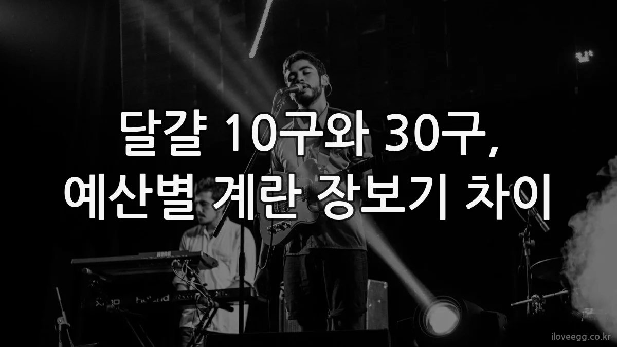 달걀 10구와 30구, 예산별 계란 장보기 차이