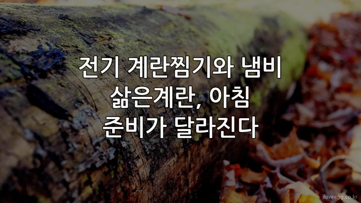 전기 계란찜기와 냄비 삶은계란, 아침 준비가 달라진다