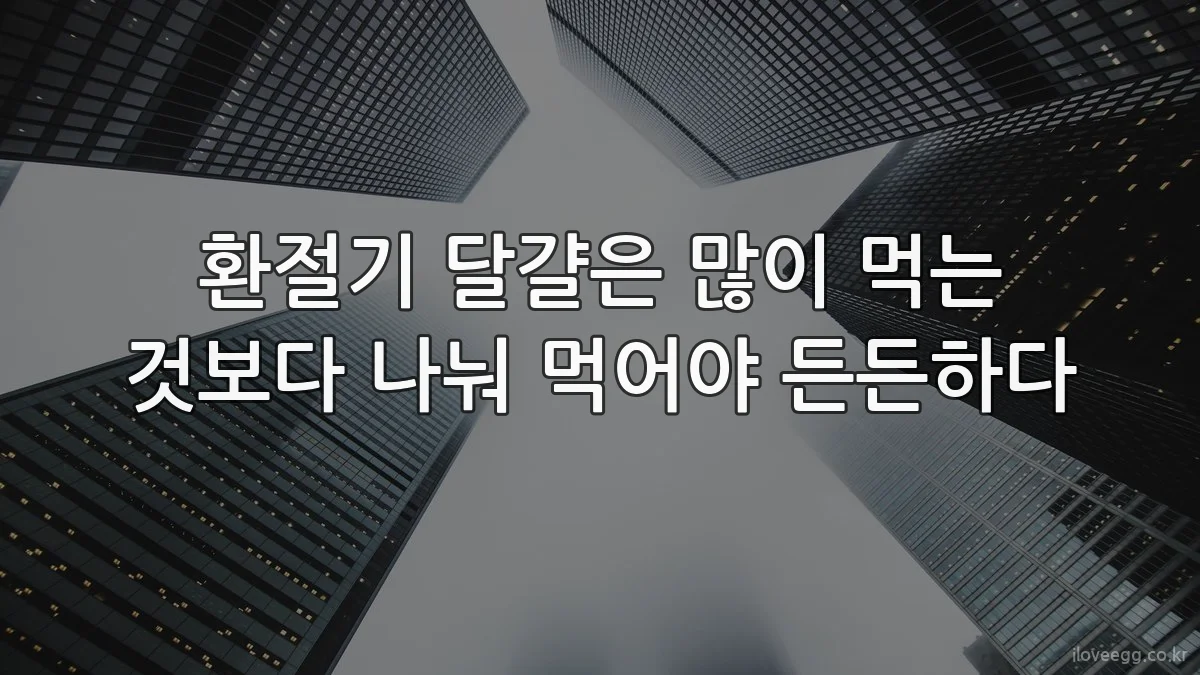 환절기 달걀은 많이 먹는 것보다 나눠 먹어야 든든하다