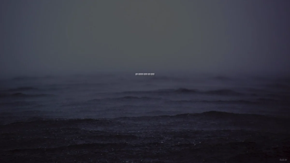 건강 보조식품 올바른 선택 가이드