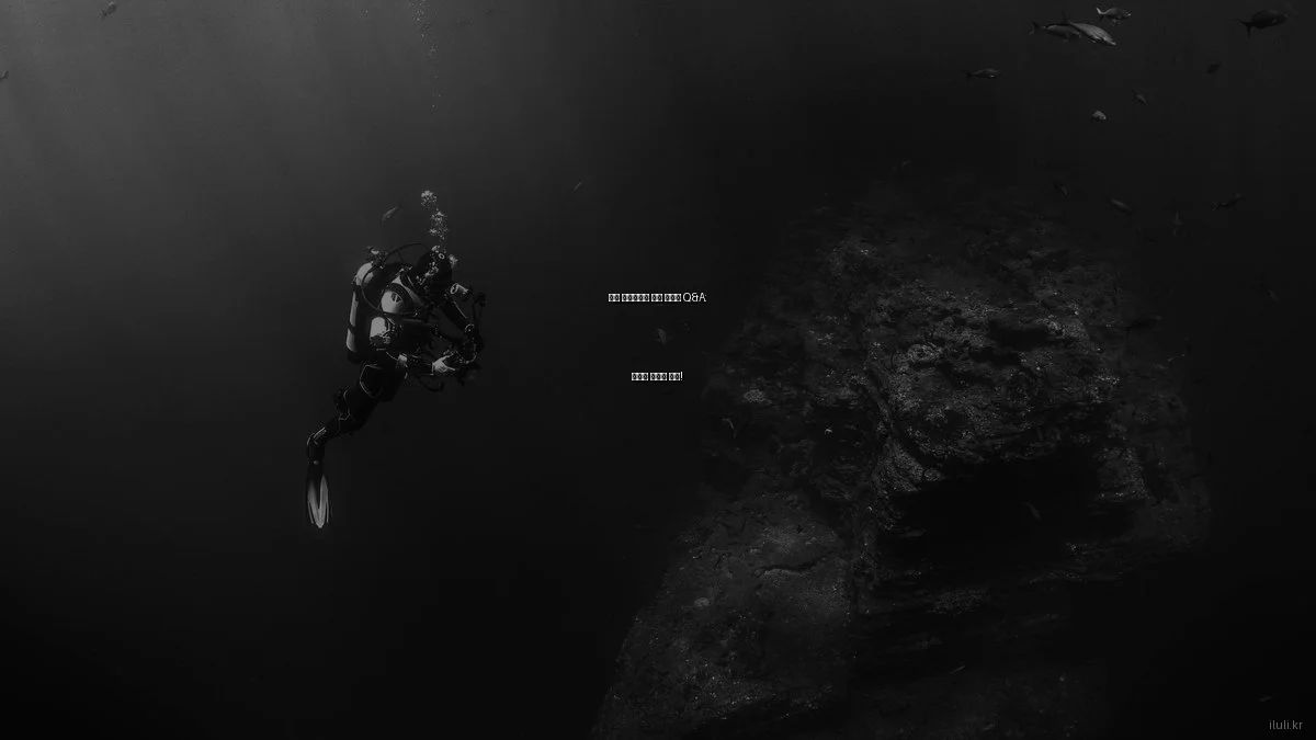 건강 보조식품에 대한 전문가 Q&A: 당신의 궁금증 해결!