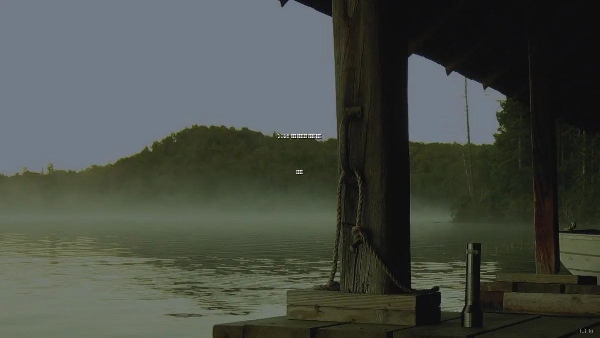 2026 건강 보조식품 예산별 추천 가이드