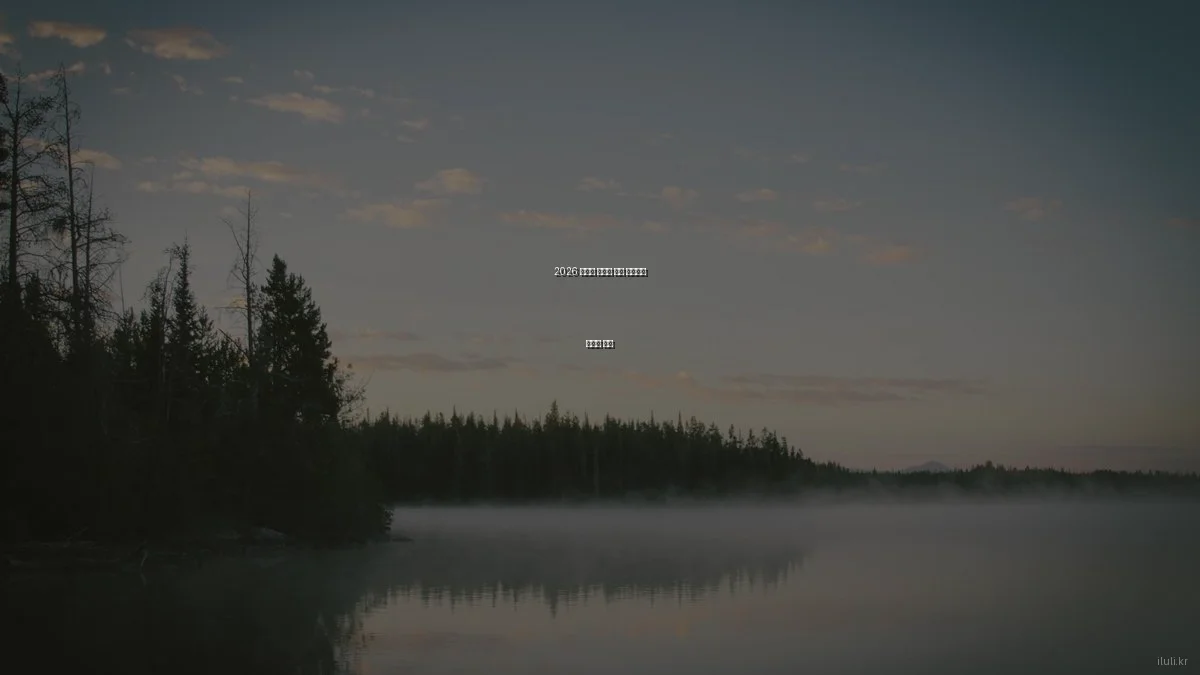 2026 가성비 최고의 건강 보조식품 예산별 추천