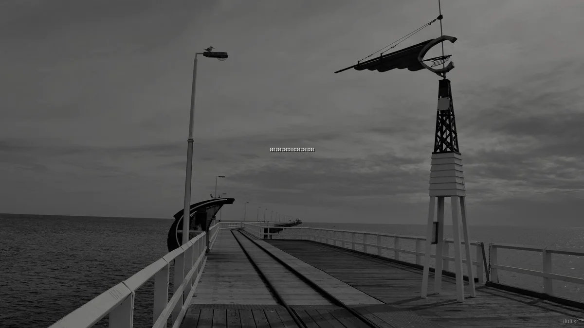 봄철 건강 보조식품 추천과 복용 가이드