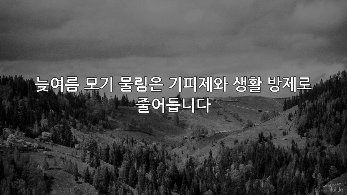 늦여름 모기 물림은 기피제와 생활 방제로 줄어듭니다