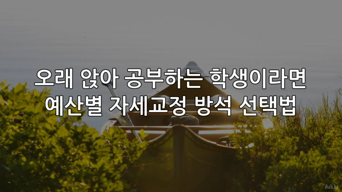 오래 앉아 공부하는 학생이라면 예산별 자세교정 방석 선택법