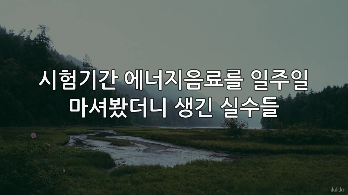 시험기간 에너지음료를 일주일 마셔봤더니 생긴 실수들