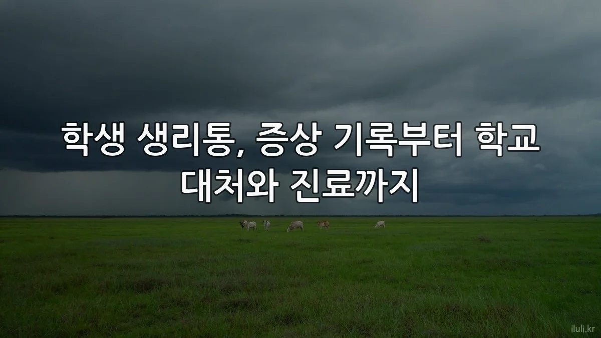 학생 생리통, 증상 기록부터 학교 대처와 진료까지