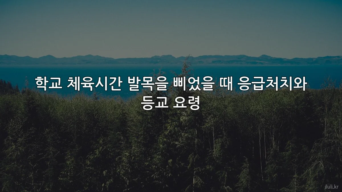 학교 체육시간 발목을 삐었을 때 응급처치와 등교 요령
