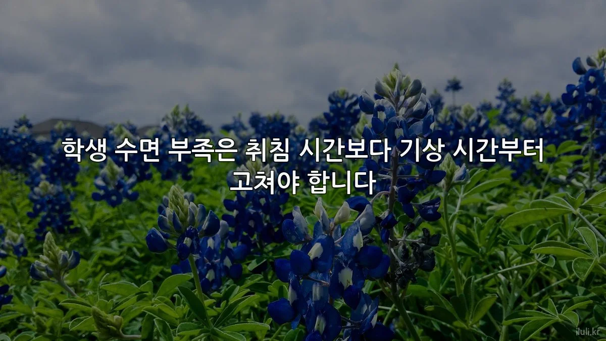 학생 수면 부족은 취침 시간보다 기상 시간부터 고쳐야 합니다