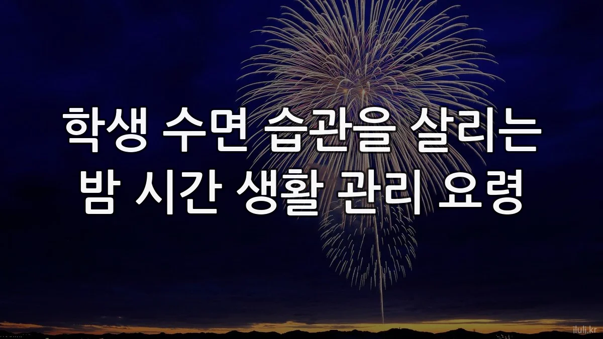 학생 수면 습관을 살리는 밤 시간 생활 관리 요령