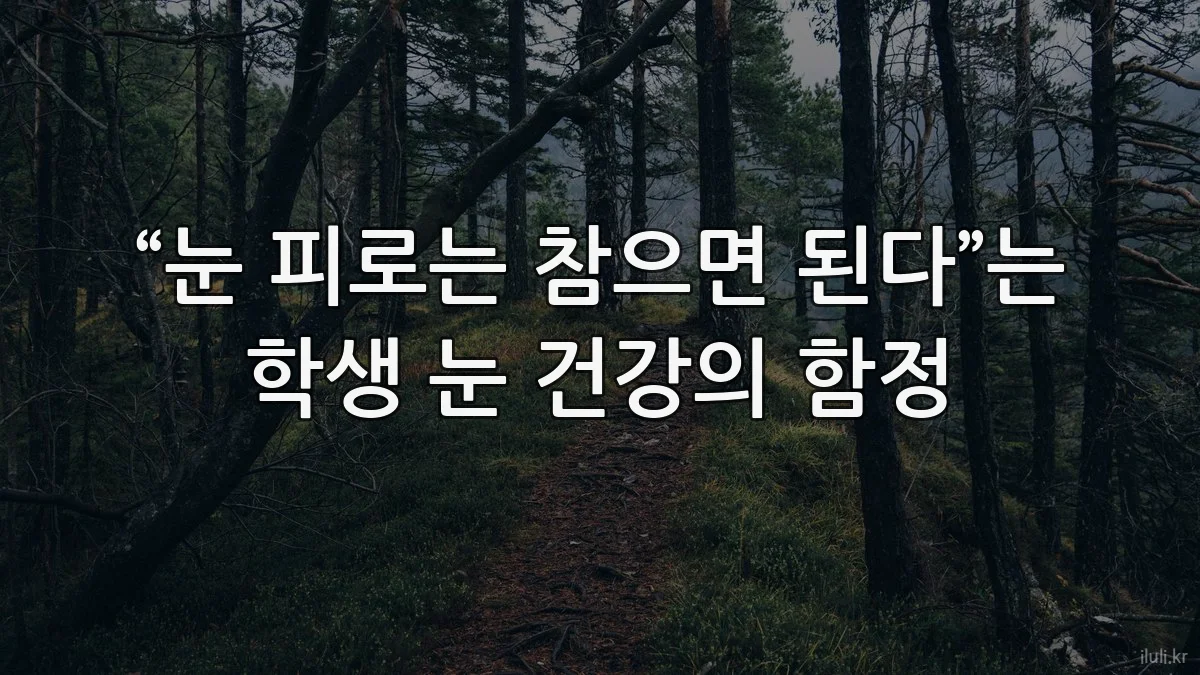 “눈 피로는 참으면 된다”는 학생 눈 건강의 함정