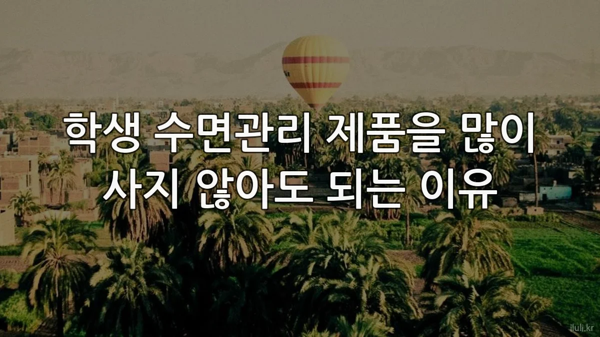 학생 수면관리 제품을 많이 사지 않아도 되는 이유