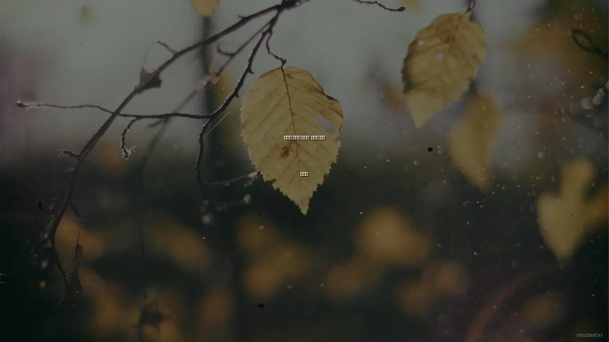 재테크 실수와 해결법: 성공의 필수 가이드