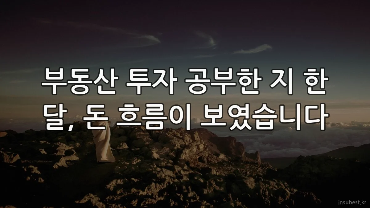 부동산 투자 공부한 지 한 달, 돈 흐름이 보였습니다