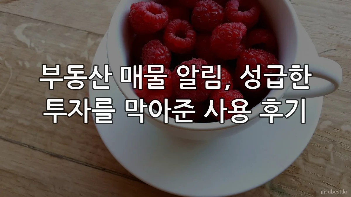 부동산 매물 알림, 성급한 투자를 막아준 사용 후기