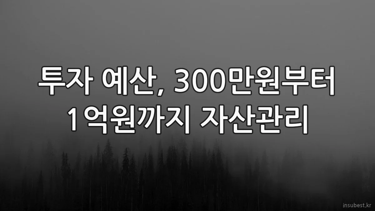 투자 예산, 300만원부터 1억원까지 자산관리